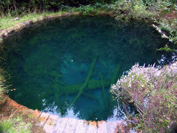 The bottom is visible and the pool is almost devoid of life