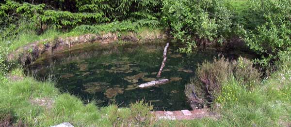 June 2009 the water appears black but a sample is perfectly clear visibility is about 2 metres — a lot of algae type growth in and on the water note the level is lower than the other photographs