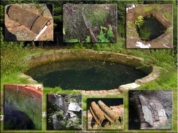 Composite view of the Torwood Blue Pool