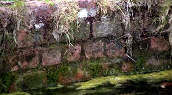 English garden wall bond
