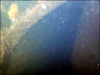 Inside Arch