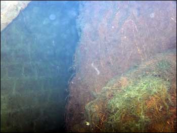 Inside Arch 2