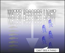 Light refraction in water