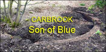 Son of Blue