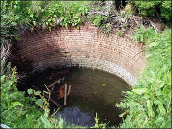 An overgrown Torwood Pool? - Nope!