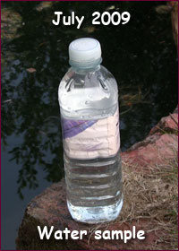 Torwood Blue Pool Water Sample