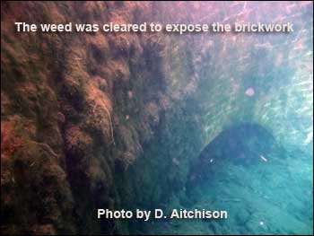 Clearing the weed and uncovered the brick arch